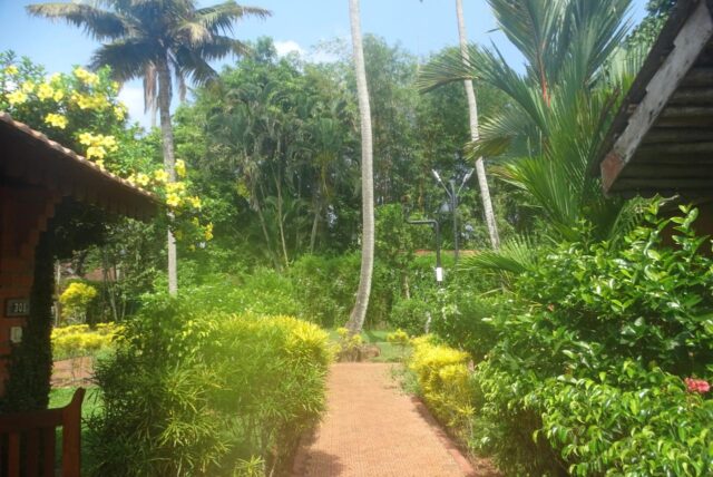 Abad Whispering Palms Kumarakom